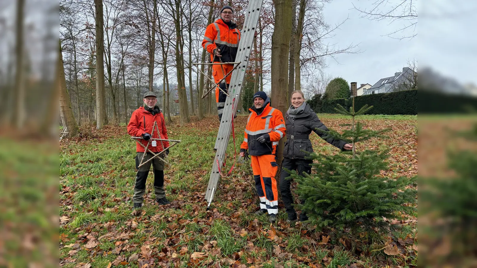 V.l.: Manfred Albers (Iburg-Bouler), Josef Rathmann und Matthias Schröder (Bauhof Bad Driburg) sowie Simone Fiene (Bad Driburger Touristik) haben pünktlich zu Nikolaus den Weihnachtsweg im Stadtpark aufgebaut. (Foto: Bad Driburger Touristik GmbH)