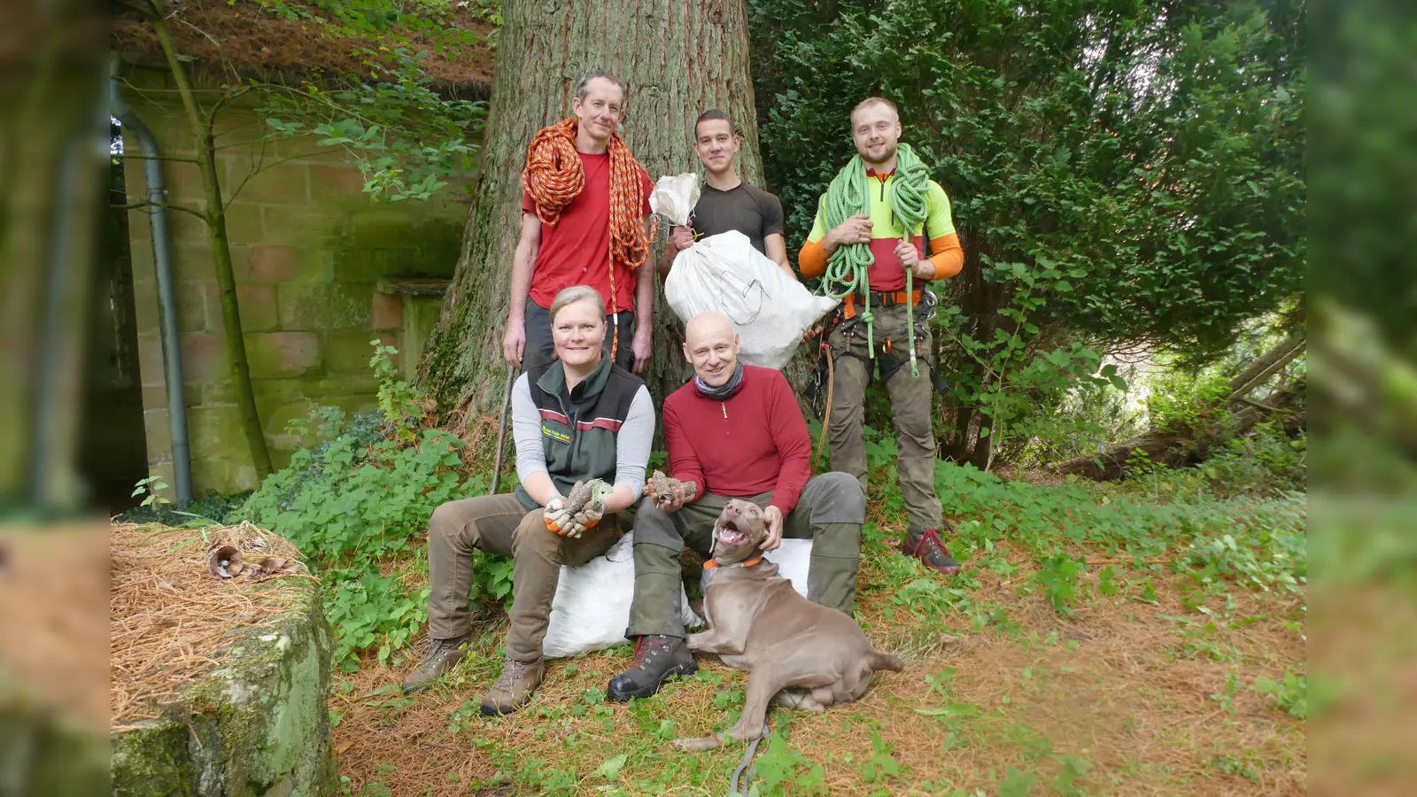 Das Zapfenteam: (hinten v.l.): die Zapfenpflücker Gregor Zilles, Marvin Eichelmann und Alexander Wieners (Regionalforstamt Hochstift). Davor: Försterin Marina Jürgens (Regionalforstamt Hochstift) und Forstwirtschaftsmeister Ingo Hamm (Zentrum Wald und Holzwirtschaft). (Foto: Befeld – Wald und Holz NRW)