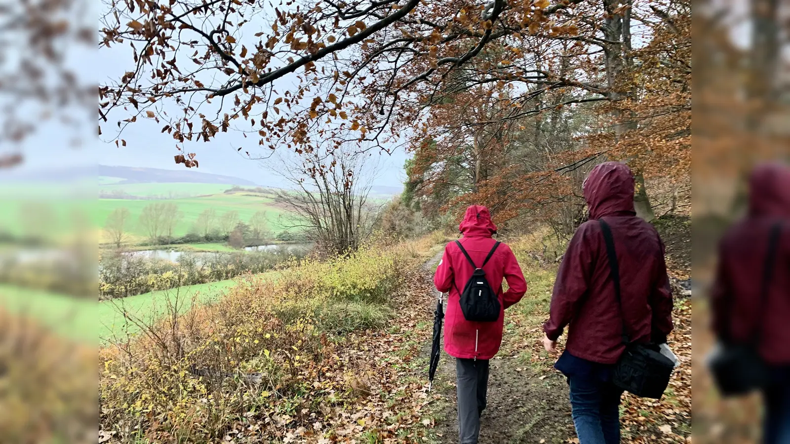 Trotz nicht besonders einladenden Wetters konnten sich die Teilnehmer an der Eröffnungswanderung für die Wegeführung und nutzerfreundliche Markierung der neuen Rundwanderwege begeistern. (Foto: Foto: Naturpark Reinhardswald)