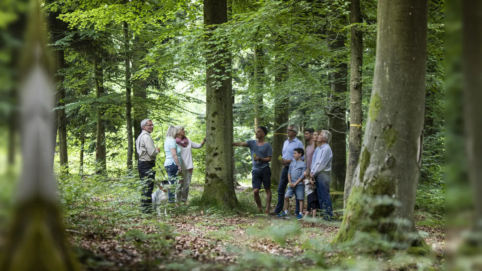 FriedWald Reinhardswald kennenlernen. (Foto: FriedWald GmbH)