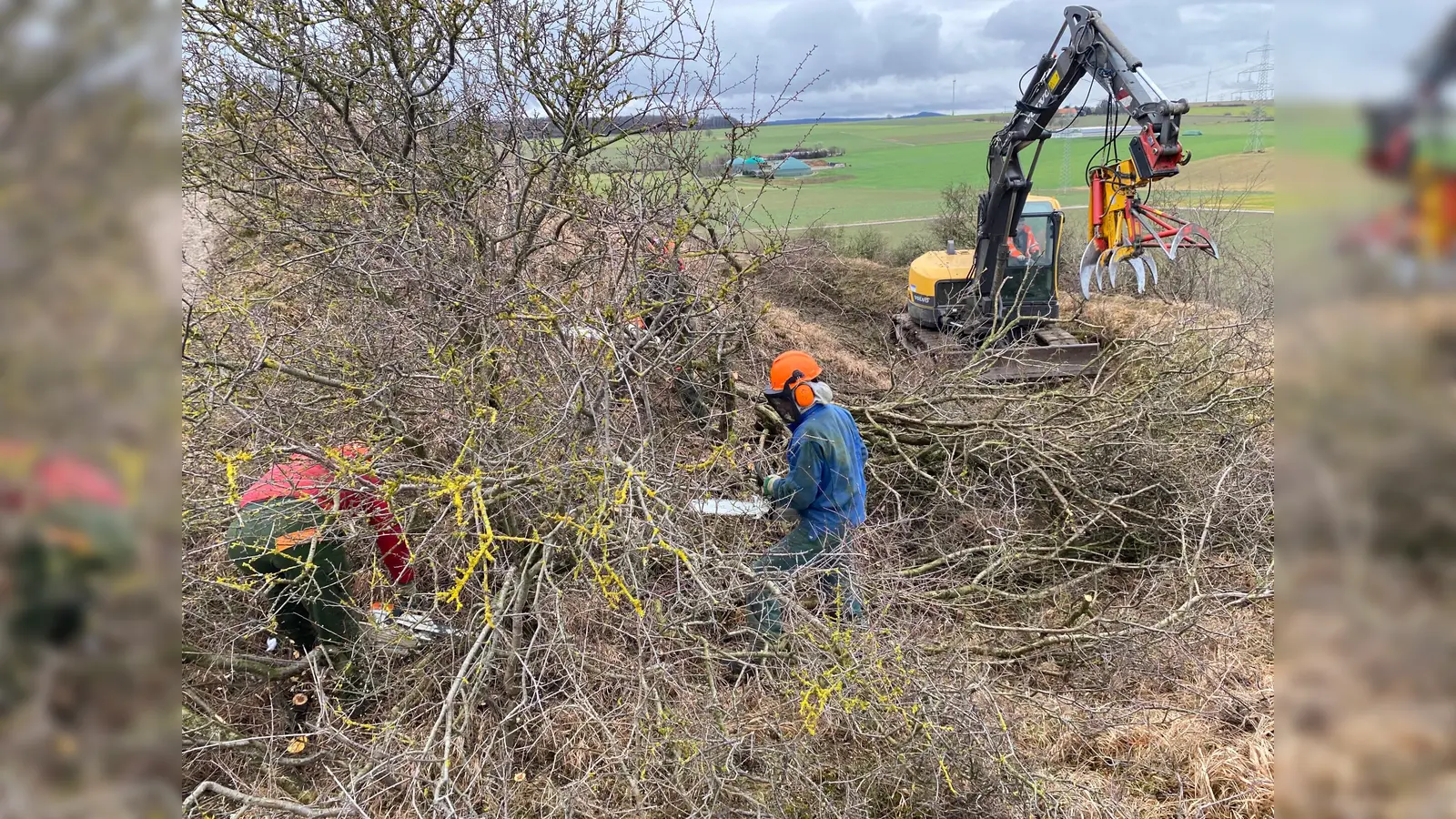 Im Rahmen des Erprobungs- und Entwicklungsvorhabens „Nachhaltige Renaturierung von Kalkmagerrasen“, gefördert vom Bundesamt für Naturschutz sowie den Ländern Nordrhein-Westfalen und Hessen, hat der Landkreis eine Firma beauftragt, dichtes und störendes Gestrüpp zu entfernen und dadurch die Weidefläche für die Schafe zu vergrößern. (Foto: Foto: Landkreis Kassel)