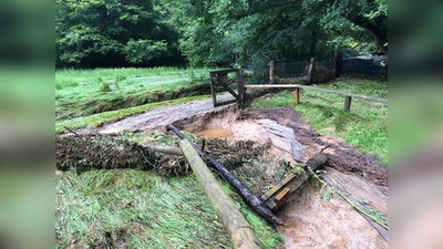 Tierpark Sababurg aufgrund starker Unwetterschäden geschlossen (Foto: Tierpark Sababurg)