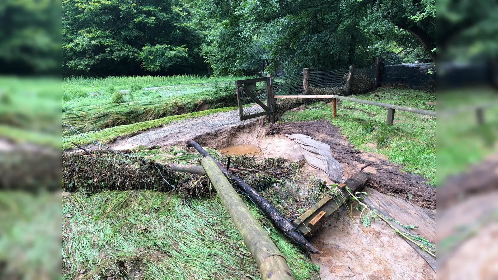 Tierpark Sababurg aufgrund starker Unwetterschäden geschlossen (Foto: Tierpark Sababurg)