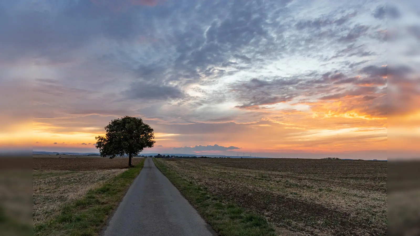 Wirtschaftswege – wie hier zwischen Borgentreich und Muddenhagen – sind für den ländlichen Raum wichtige Verbindungen. unter anderem auch für Radfahrerinnen und Radfahrer. (Foto: Noah Gievers/Kreis Höxter)