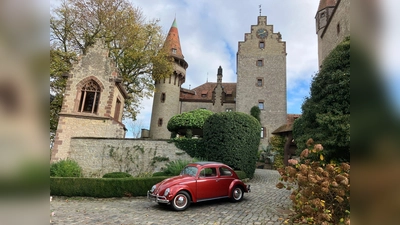 Käfer vor der historischen Kulisse der Burg Calenberg. (Foto: privat)