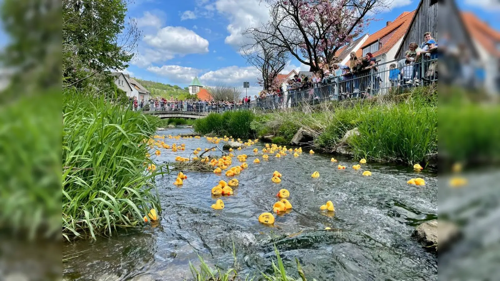 Welche Ente wird die zuerst über die Ziellinie schwimmen? (Foto: Förderverein Kita Dalhausen)